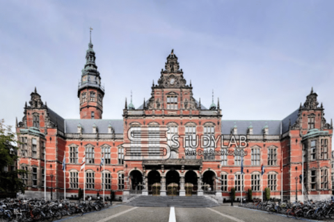 Groningen Üniversitesi