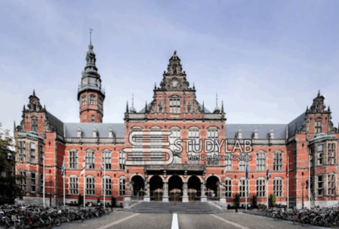 Groningen Üniversitesi