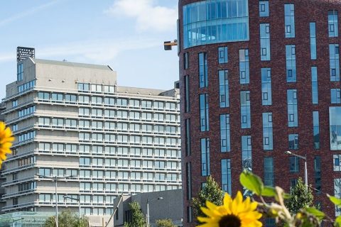 vrije üniversitesi