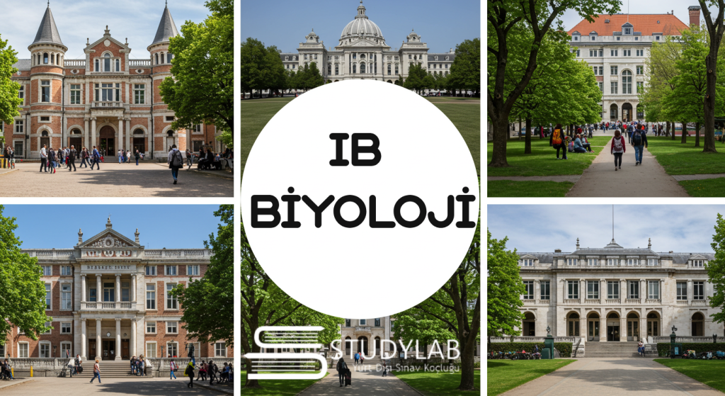 Ib Biyoloji Dersi