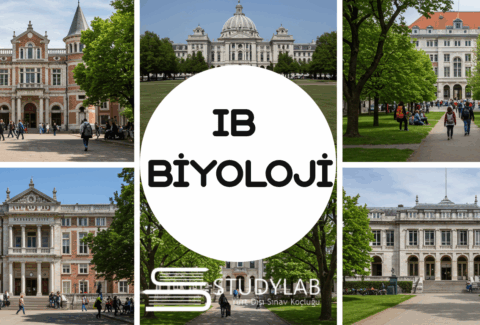 Ib Biyoloji Dersi