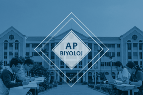 ap biyoloji nedir?