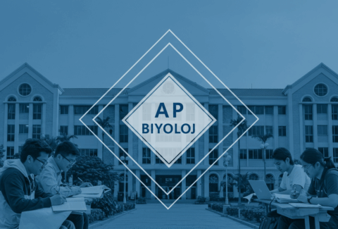 Ap Biyoloji Nedir?