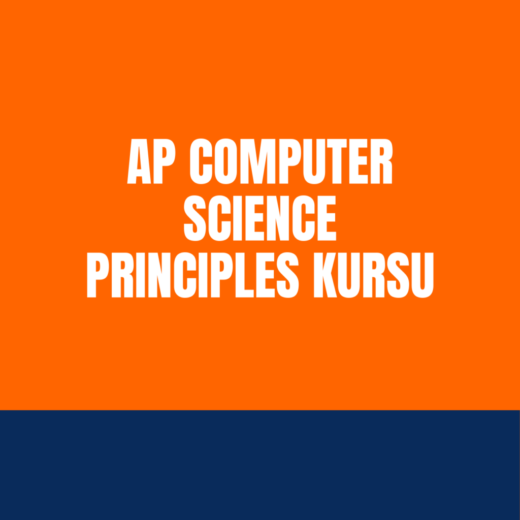 Ap Computer Science Principles Kursu